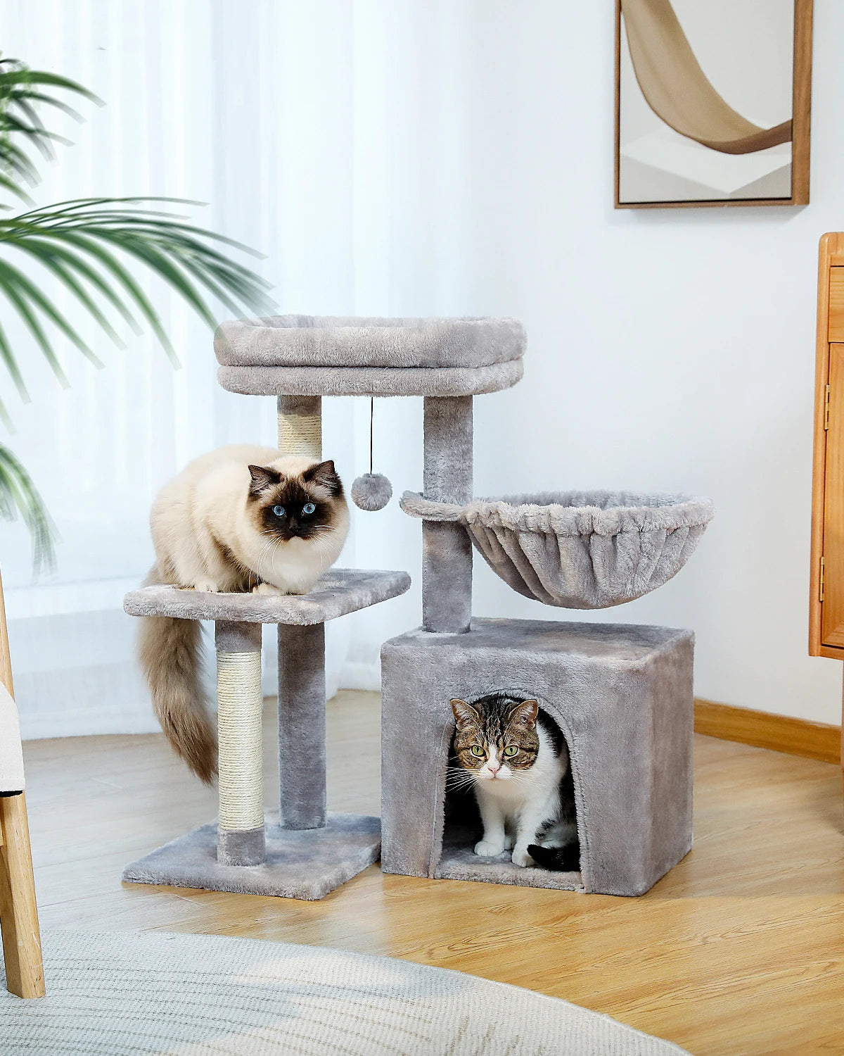 Small Cat Tree with Condo Hammock