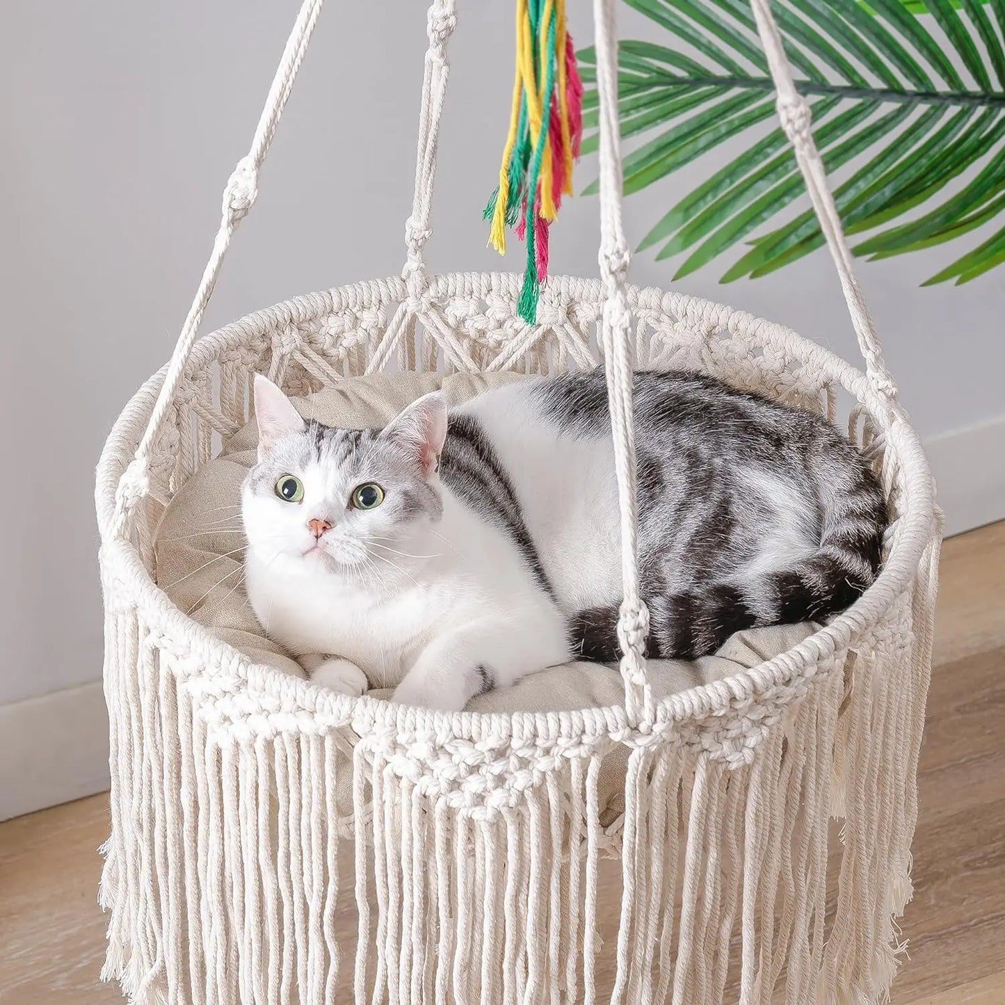 Mewoofun Macrame Cat Hammock Hanging Swing